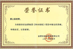 中國企業500強金(jīn)鑼集團榮譽證書